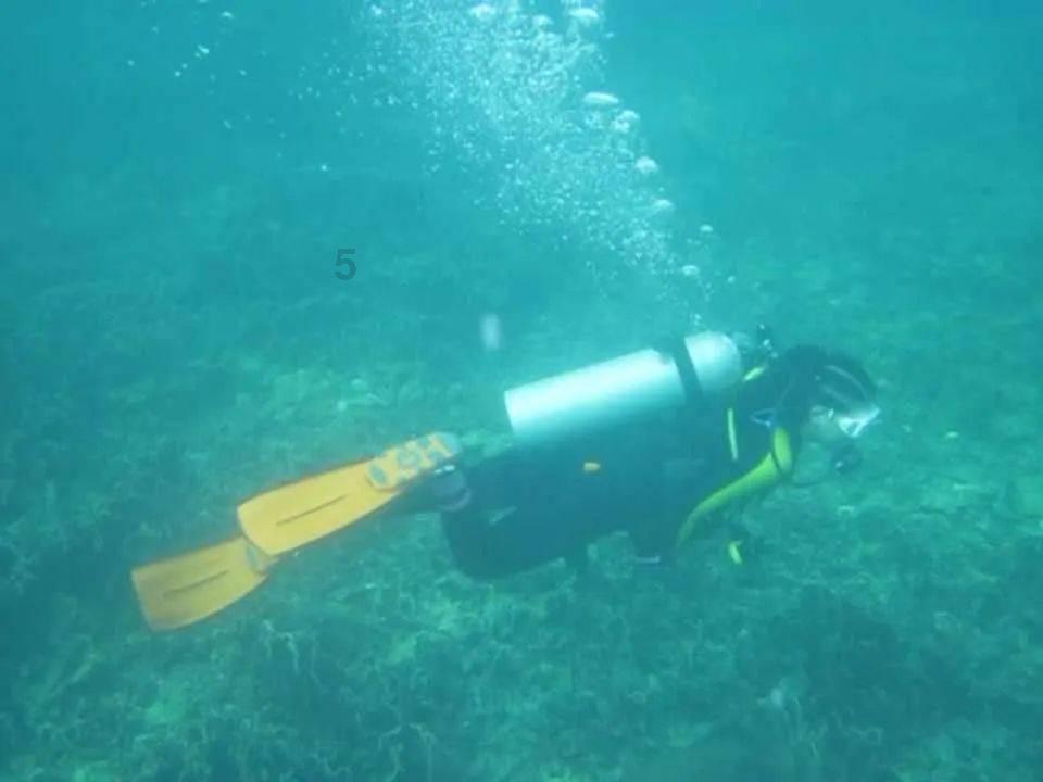 隔壁老王偷香记
